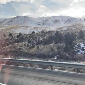 Meet your Posher, Iris